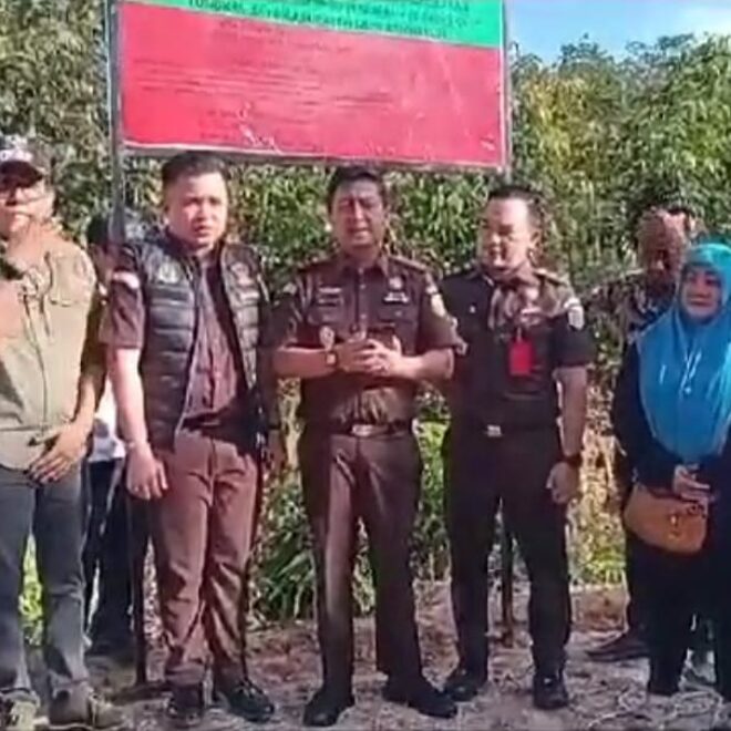 IMG 20250313 WA0001