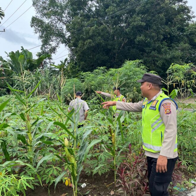 Polsek BMT beri pendampingan petani di Wilkum Polsek BMT.