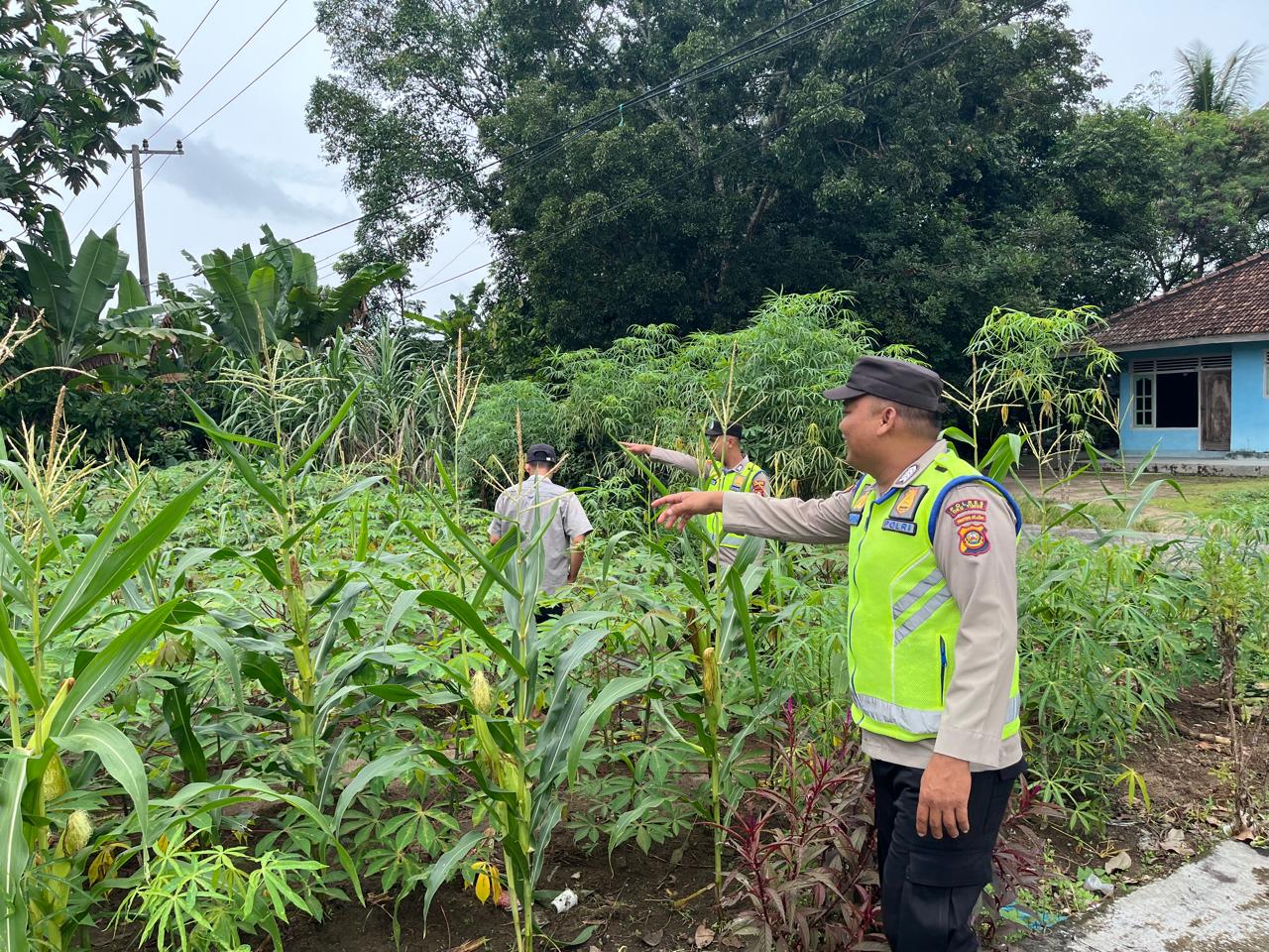 Polsek BMT beri pendampingan petani di Wilkum Polsek BMT.
