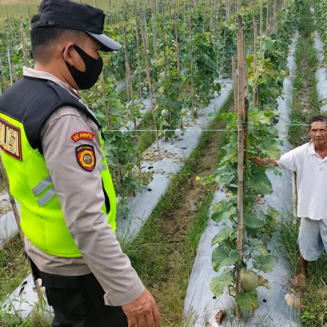 Giat monitoring personel Polsek BMT dalam rangka mendukung ketahanan pangan nasional.