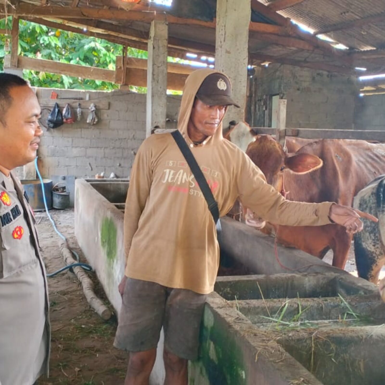 Personil Polsek BMT melaksanakan sambang dan monitoring ketahanan pangan dengan pemilik ternak sapi. 