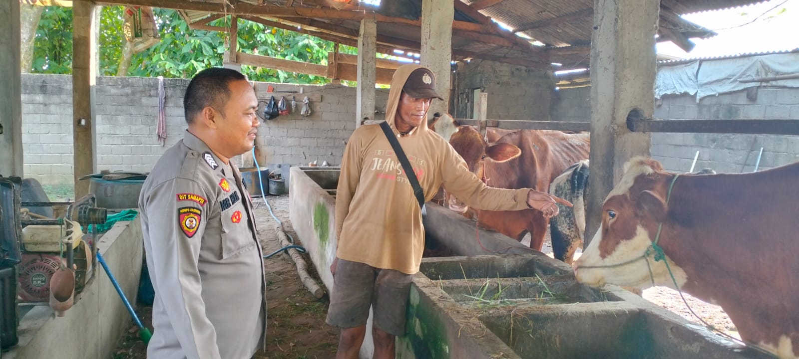Personil Polsek BMT melaksanakan sambang dan monitoring ketahanan pangan dengan pemilik ternak sapi. 