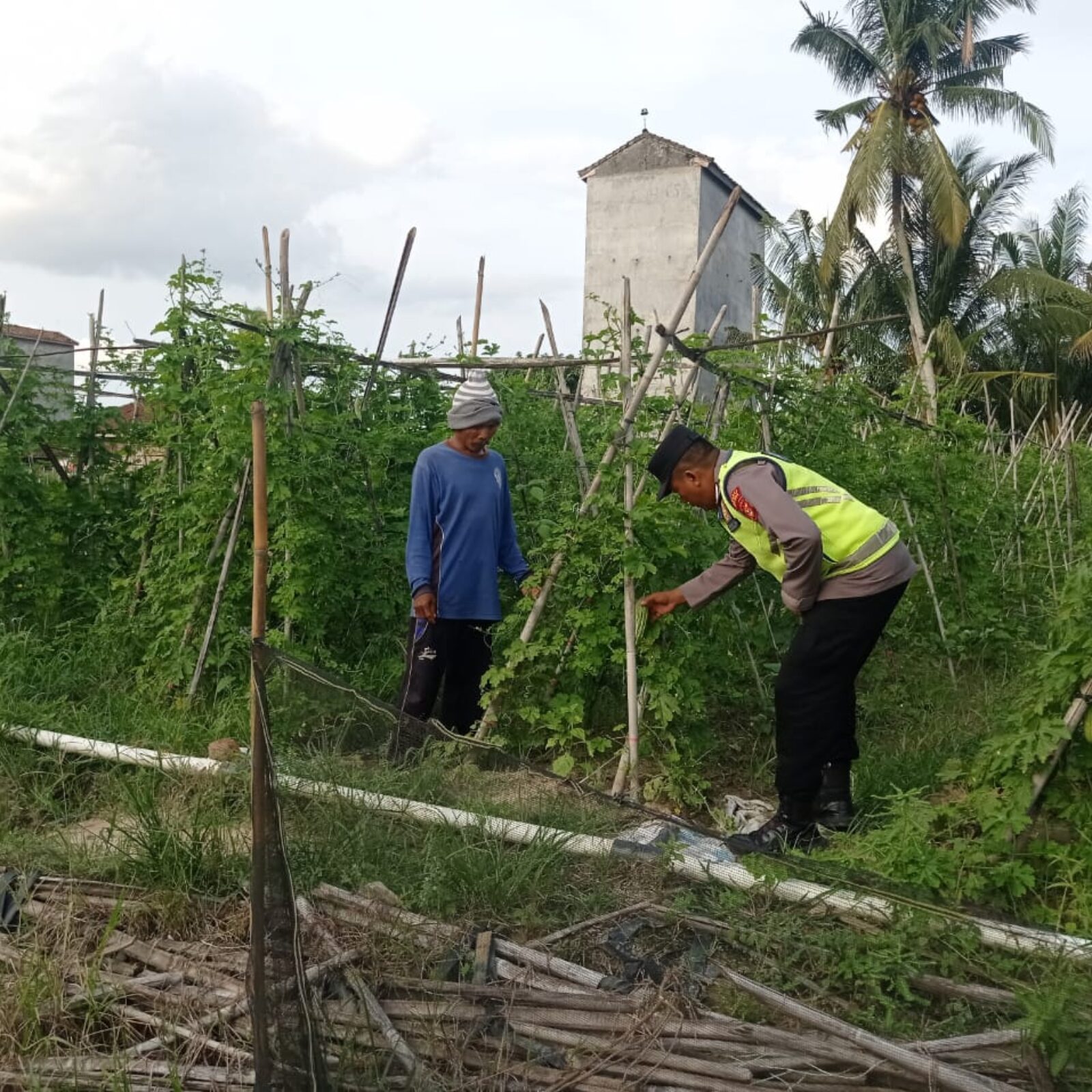 Wujudkan ketahanan pangan, personel Polsek BMT melaksanakan monitoring tanaman ketahanan pangan, yakni tanaman pare.