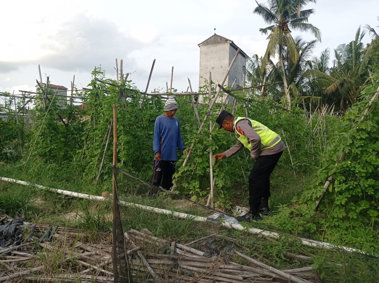 Wujudkan ketahanan pangan, personel Polsek BMT melaksanakan monitoring tanaman ketahanan pangan, yakni tanaman pare.