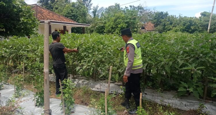 Giat pembinaan dan pendampingan, dalam rangka mewujudkan ketahanan pangan.