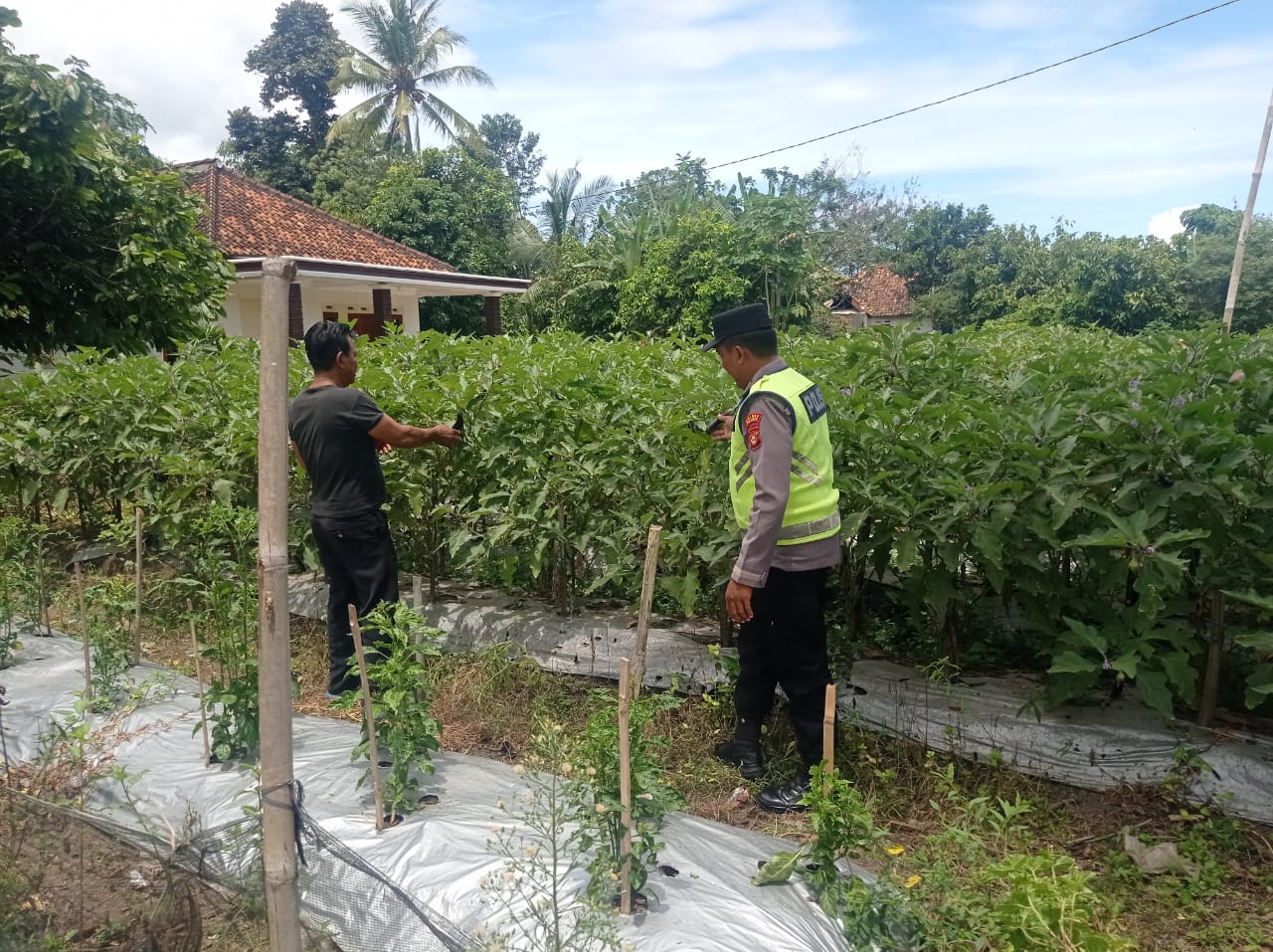 Giat pembinaan dan pendampingan, dalam rangka mewujudkan ketahanan pangan.