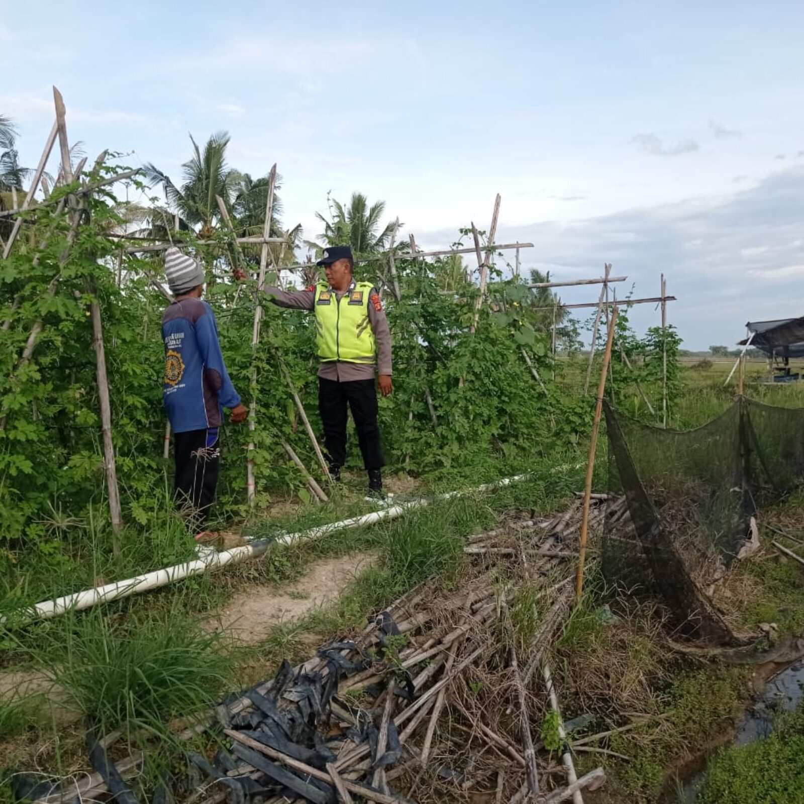 Giat pembinaan dan pendampingan Polsek BMT kepada para petani.