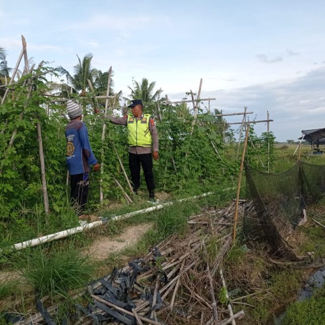 Giat pembinaan dan pendampingan Polsek BMT kepada para petani.