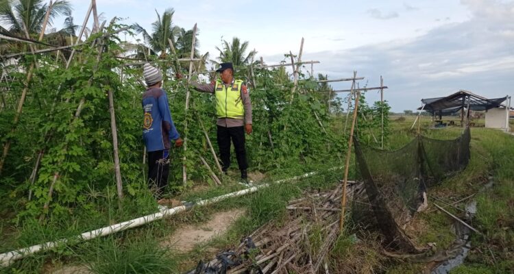 Giat pembinaan dan pendampingan Polsek BMT kepada para petani.
