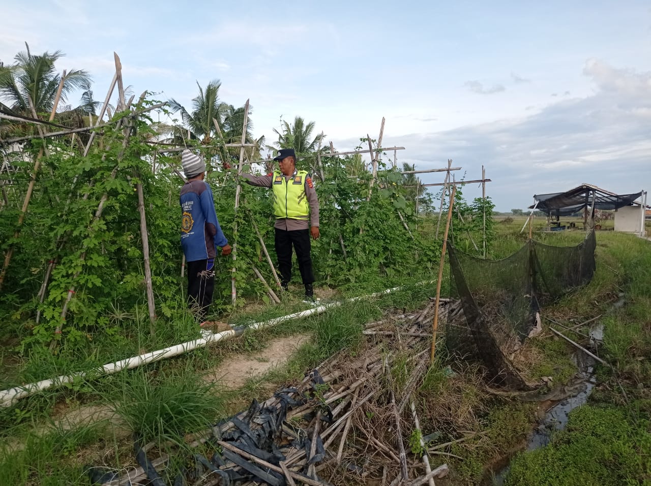 Giat pembinaan dan pendampingan Polsek BMT kepada para petani.