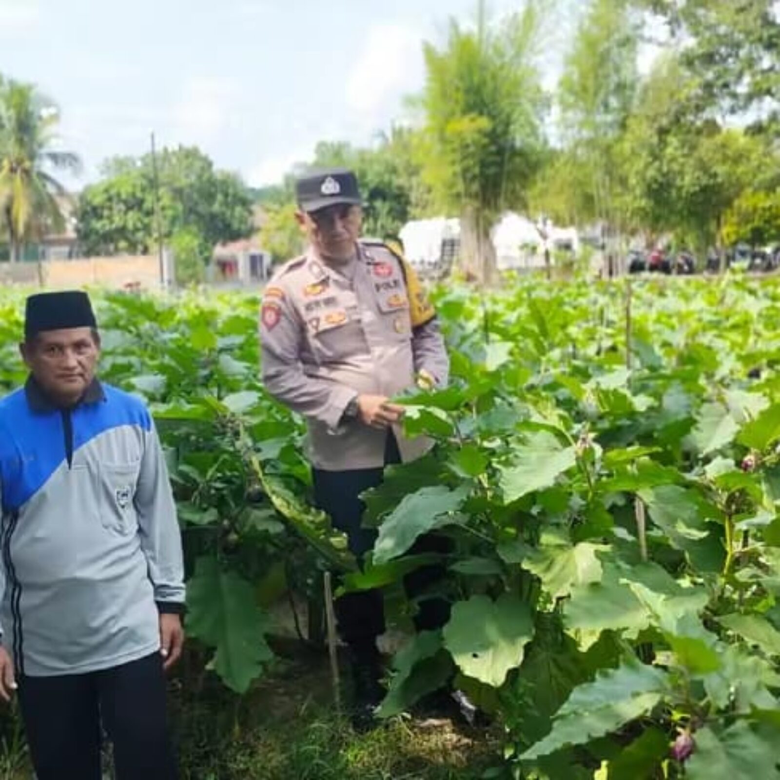 Giat pembinaan dan pendampingan petani di Wilkum Polsek BMT.