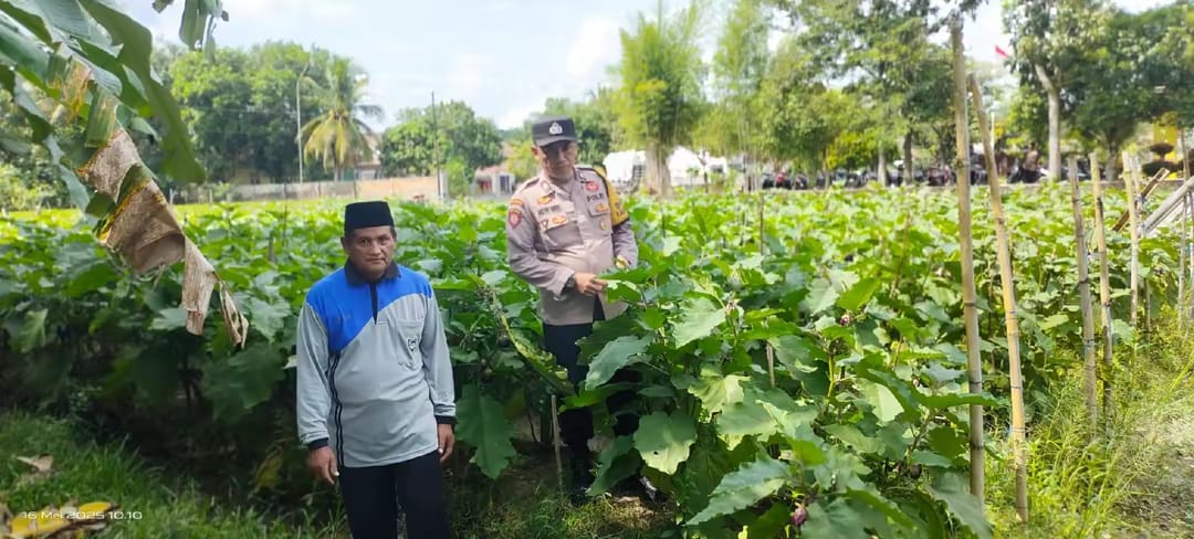 Giat pembinaan dan pendampingan petani di Wilkum Polsek BMT.