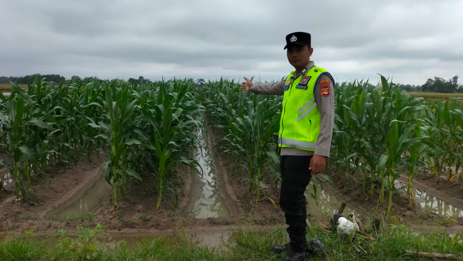 Personel Polsek BMT melaksanakan monitoring ketahanan pangan tanaman jagung.
