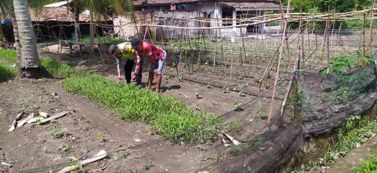 Giat pembinaan dan pendampingan petani manfaatkan pekarangan rumah.