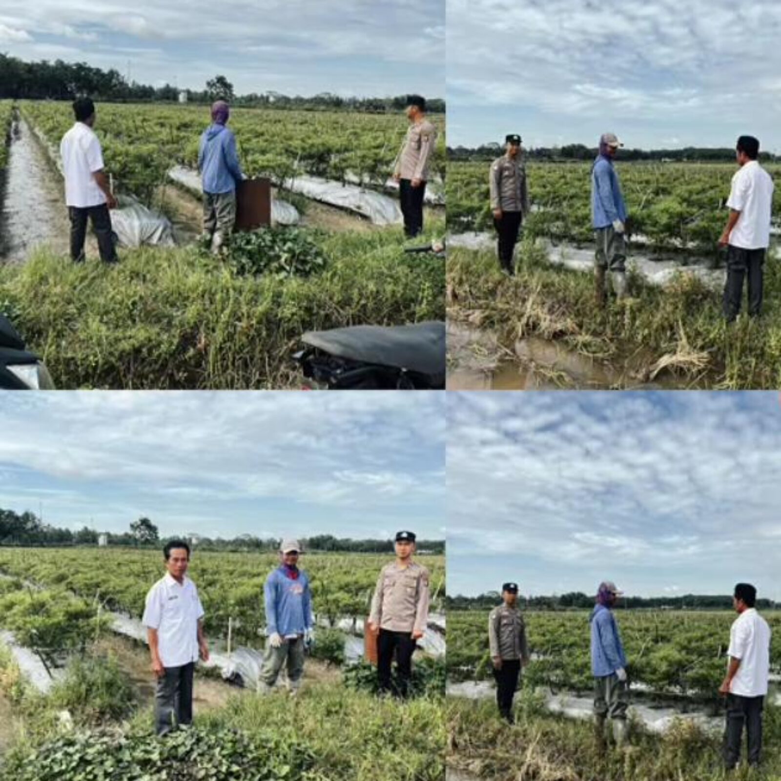Giat pembinaan dan pendampingan Polsek BMT kepada Petani.
