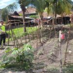 Giat pembinaan dan pendampingan warga manfaatkan lahan pekarangan dalam mewujudkan ketahanan pangan.