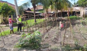 Giat pembinaan dan pendampingan warga manfaatkan lahan pekarangan dalam mewujudkan ketahanan pangan.