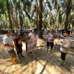 IMG 20250527 WA0060