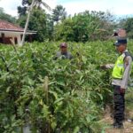 Giat pembinaan dan pendampingan Polsek Buay Madang Timur (BMT).