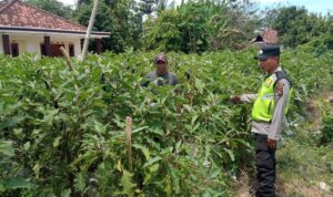Giat pembinaan dan pendampingan Polsek BMT.