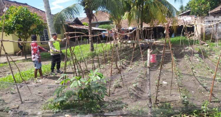 Personel Polsek Buay Madang Timur mendukung, membina dan mendampingi petani manfaatkan lahan pekarangan.