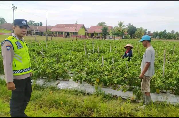 Personel Polsek BMT memberikan pembinaan dan pendampingan kepada petani.