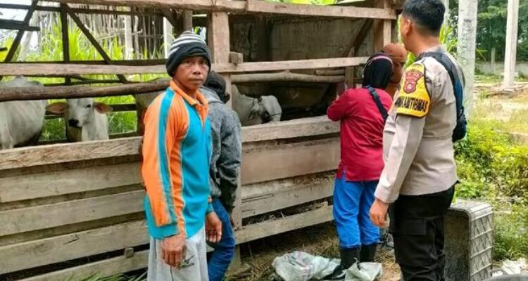 Personel Polsek Buay Madang Timur melaksanakan silaturahmi monitoring ketahanan pangan, peternakan sapi.