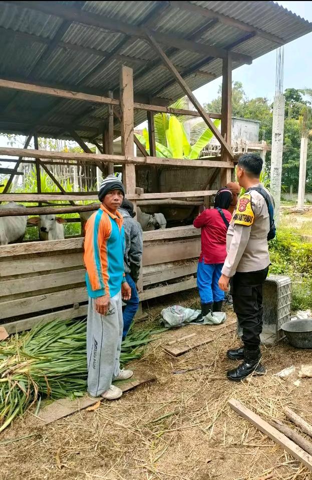 Personel Polsek BMT melaksanakan monitoring, pembinaan dan pendampingan kepada peternak sapi.