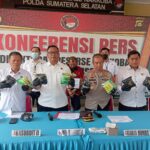IMG 20250604 WA0067