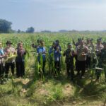 Giat monitoring tanaman ketahanan pangan.