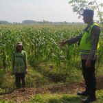 Personel Polsek BMT bina dan dampingi petani, wujudkan ketahanan pangan.