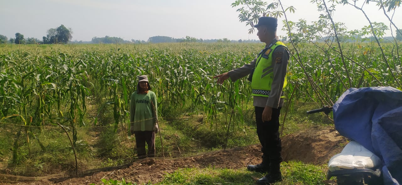 Personel Polsek BMT bina dan dampingi petani, wujudkan ketahanan pangan.