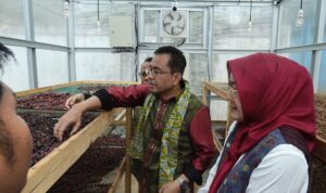 IMG 20250617 WA0038