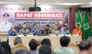 IMG 20250617 WA0100