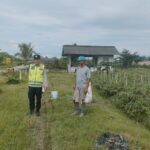 Monitoring tanaman ketahanan pangan.