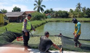 Personel Polsek Buay Madang Timur (BMT) Aipda Sahrul Munir memberikan pembinaan petani ikan lele guna mendukung ketahanan pangan. 