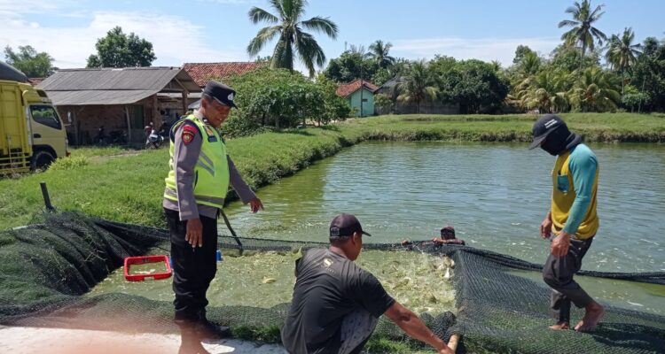 Personel Polsek Buay Madang Timur (BMT) Aipda Sahrul Munir memberikan pembinaan petani ikan lele guna mendukung ketahanan pangan. 