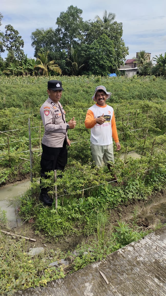 Personel Polsek Buay Madang Timur (BMT) kunjungi kebun terong milik warga.