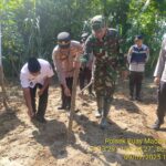 Penanaman jagung serentak kuartal III, dan penanaman jagung dilahan Perhutanan Sosial.