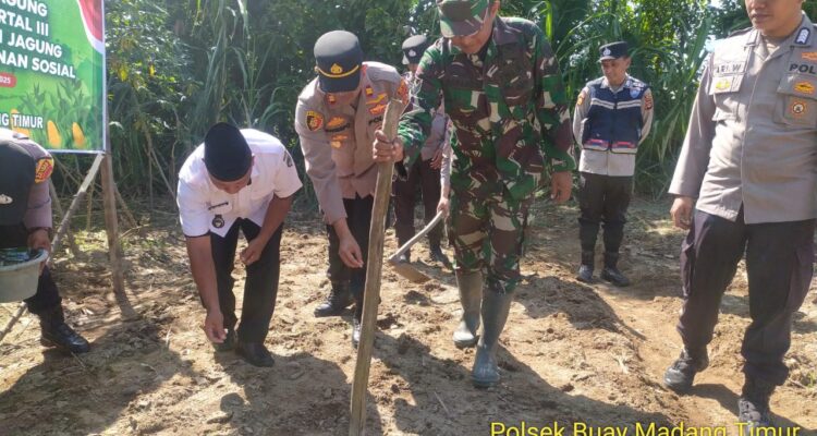 Penanaman jagung serentak kuartal III, dan penanaman jagung dilahan Perhutanan Sosial.