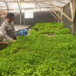 Personel Polsek Buay Madang Timur (BMT) melaksanakan pengecekan bibit tanaman ketahanan pangan.