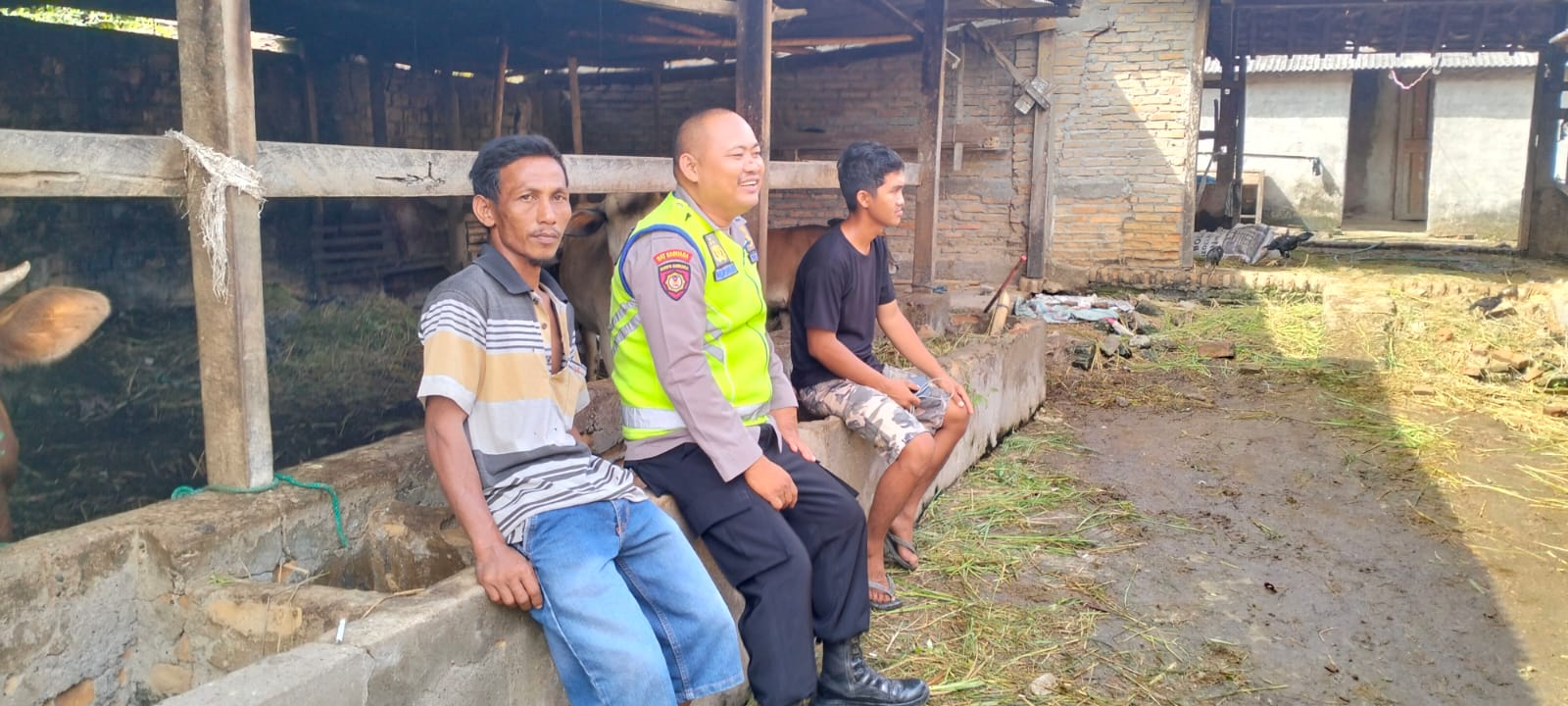 Bhabinkamtibmas Polsek Buay Madang Timur (BMT) Bripka Nur Holik sambangi warga pemilik Ternak Sapi. 