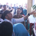 IMG 20250721 WA01031