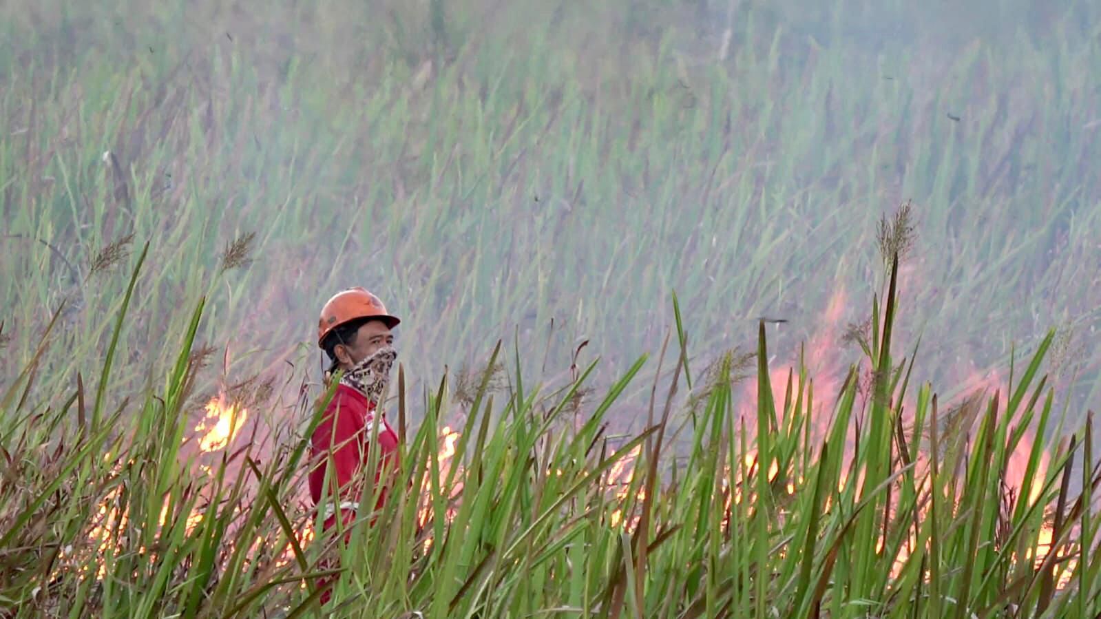 54 Kejadian Karhutla Terjadi di Sumsel, Luas Lahan Terbakar Lebih Dari 43 Hektare