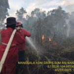 IMG 20250725 WA0030