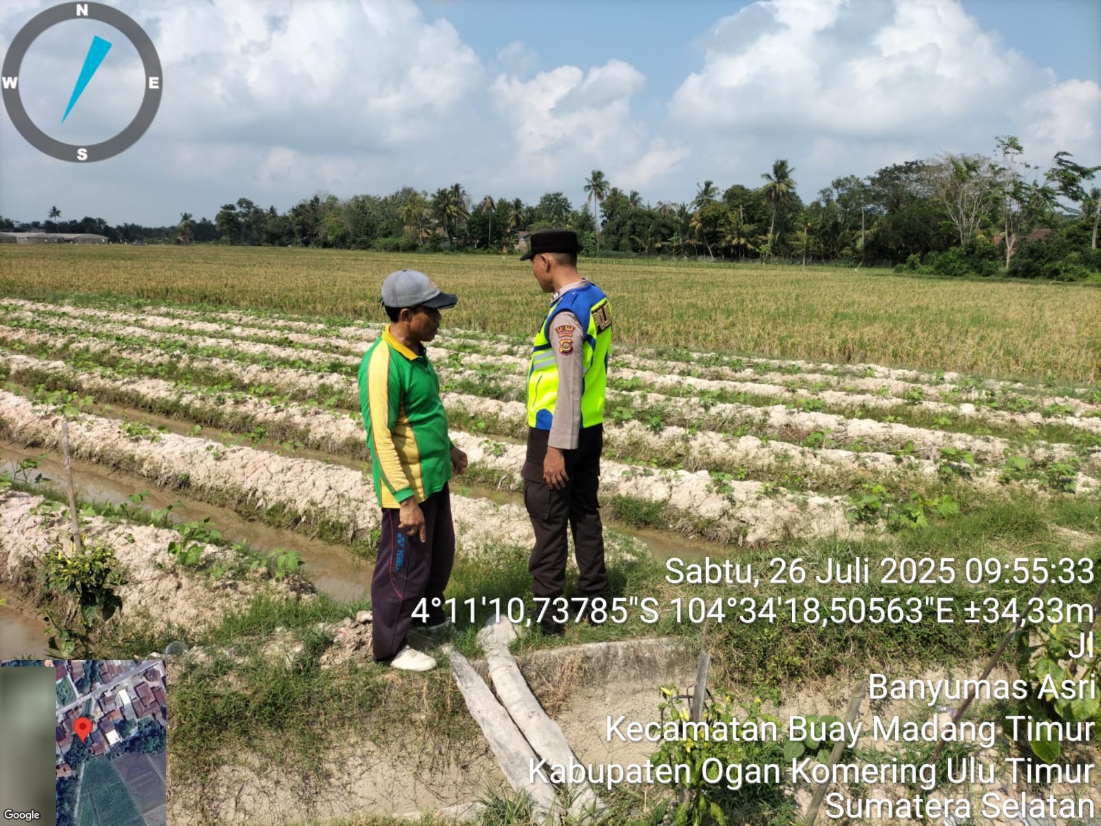 Personel Polsek Buay Madang Timur (BMT) Aiptu Dahrul Hutni memantau ketahanan pangan jenis tanaman kacang tanah. 