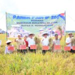 IMG 20250727 WA0042