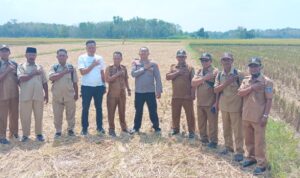Kapolsek BMT IPTU Swisspo cek lokasi ketahanan pangan, yang bakal di tanami jagung. 