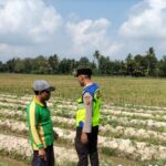 Personel Buat Madang Timur (BMT) melaksanakan monitoring ketahanan pangan, dan sambang silaturahmi dengan petani.