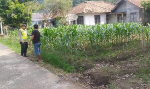 Personel Polsek Buay Madang Timur (BMT) beri pendampingan kepada petani manfaatkan lahan pekarangan.